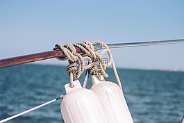 海,海洋,水