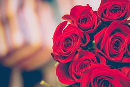 紅色,玫瑰,花