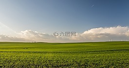 绿色,草,原野
