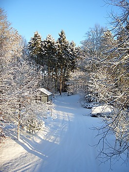 雪,冬天,白