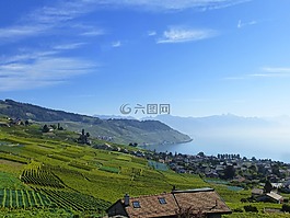 瑞士,景觀,湖