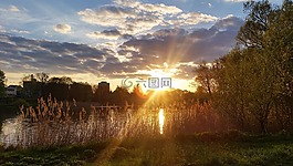 湖,蘆葦,太陽