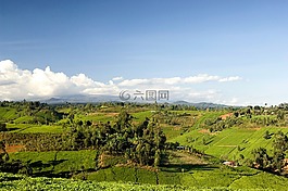 肯尼亚,景观风景名胜,山