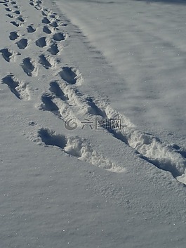 雪,痕跡,冬天