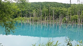 北海道,蒼井空艾克,蒼井空，ike湖