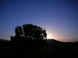 日落,背光燈,性質(zhì)