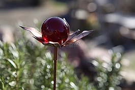 花園,珠寶,球