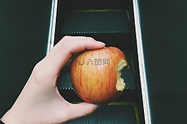 蘋果,水果,食品