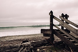 海,海洋,水