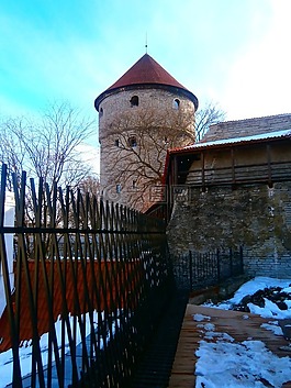 區(qū)內(nèi)高,塔林,estland