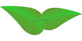 葉子,葉,植物
