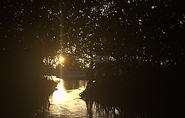 水,黑暗,阳光