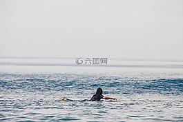 沖浪,海灘,海洋