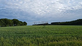 放松,作物,藍(lán)色的天空