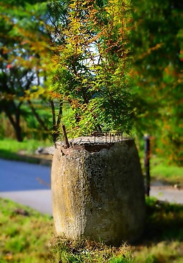 石,混凝土,草