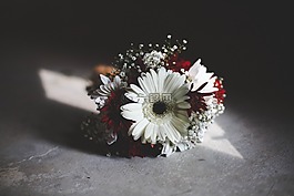 花,自然,花瓣