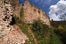 neckarsteinach,城堡,废墟