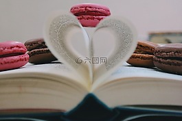 書,讀,研究