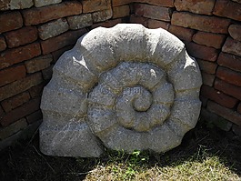 石,蝸牛,花園