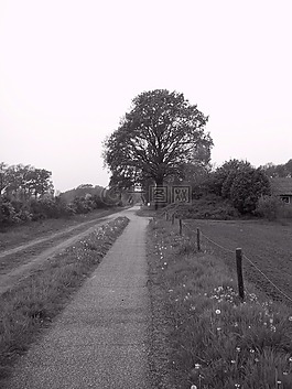 農(nóng)業(yè) nutzweg,放牧,achterhoek