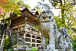 日本,景觀,自然