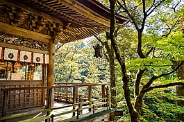 日本,景觀,自然
