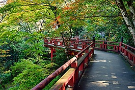 日本,景觀,自然