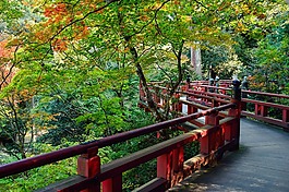日本,景觀,自然