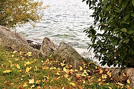 湖,海灘,秋