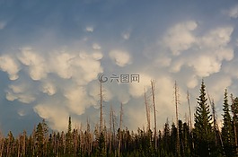 mammatus 云,天空,景观
