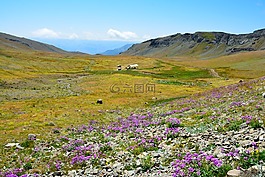 土耳其,性質(zhì),景觀