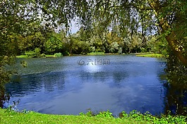 湖,池塘,水