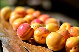杏,水果,宏