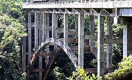 稀疏綠色家園霹靂 piket 北環線,lumajang,東爪哇
