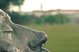 雕像,青年公園,圣保羅