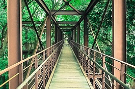青年公園,圣保羅,巴西