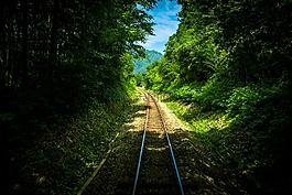 鐵路,軌道,綠色