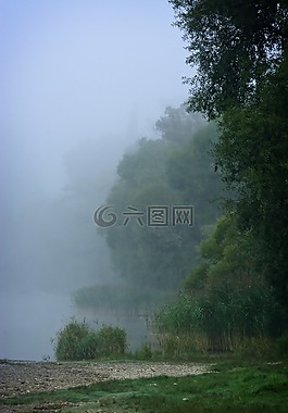 銀行,霧,水