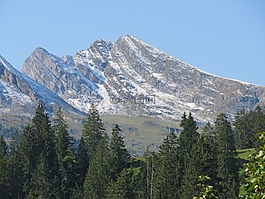 瑞士,山,森林