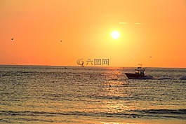 日落,水,海
