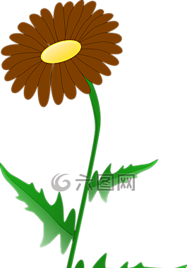 花,植物,葉子