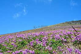 土耳其,性質(zhì),景觀