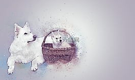 狗,寵物,可愛