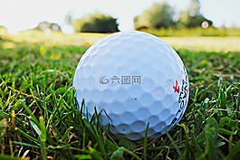 高爾夫球場球,高爾夫,高爾夫球場