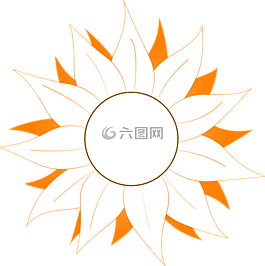 花,太阳,橙色