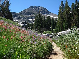 湖 winnemuka,野花,山峰