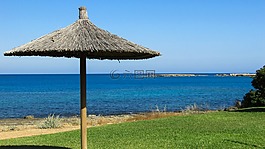傘,海,海岸