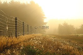 離,霧,籬笆