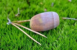橡子,moss,森林