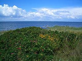 费姆岛,丹麦,景观